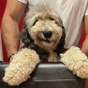 Fundraising Page: James Serio